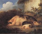 A Sow and Her Piglets George Morland